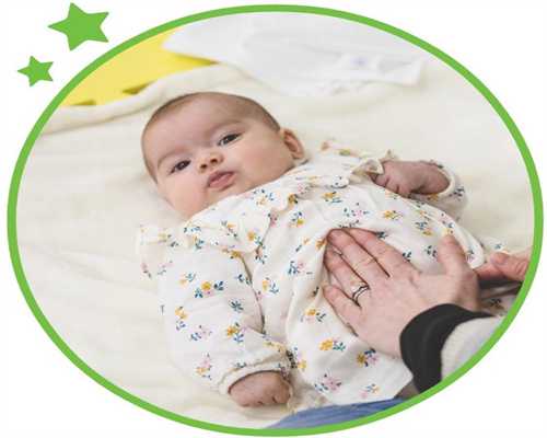 上海试管营养餐推荐：长卵泡、长内膜的科学食谱